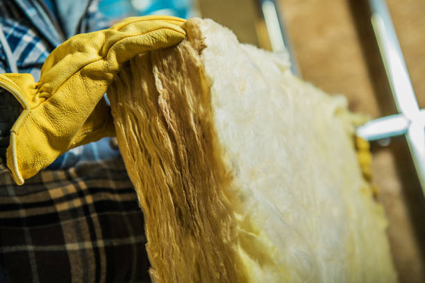 Best Commercial Insulation in Mked Tree, AR